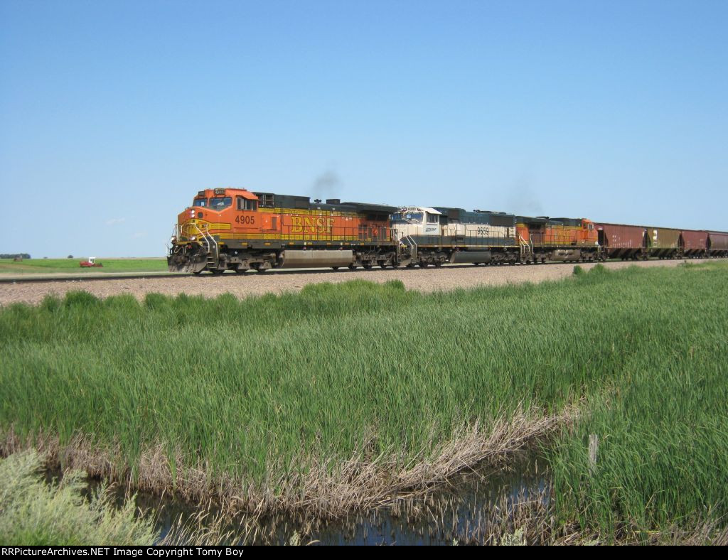 BNSF 4905